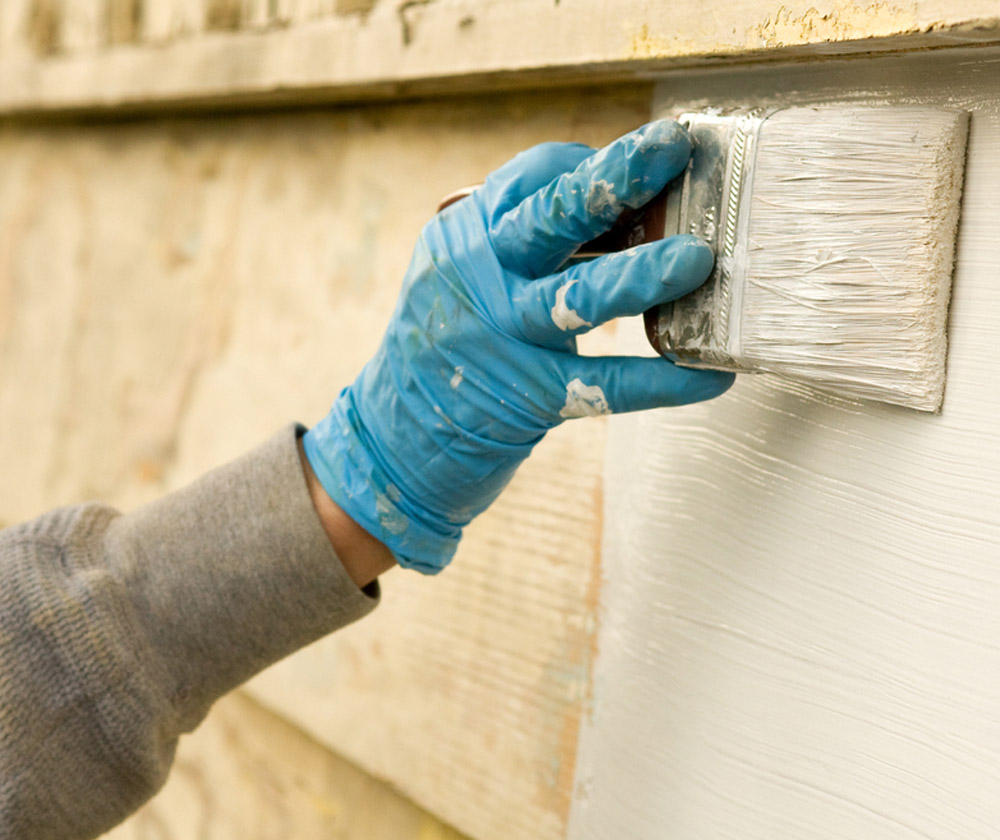 Professionals Painting Services
